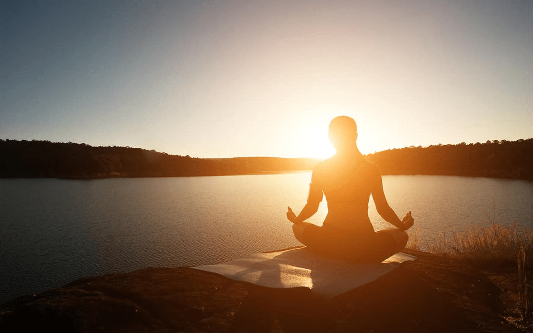What is Light on Suitability?