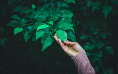 You Are Not a Passive Victim of Circumstance, But an Active Participant in Perception.